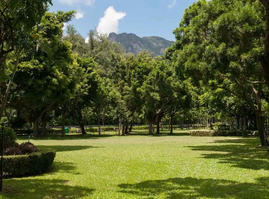 Kowloon Tsai Park