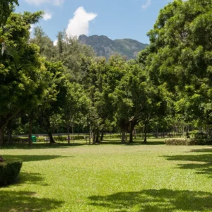 Kowloon Tsai Park