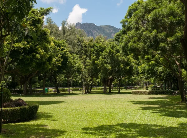 Kowloon Tsai Park
